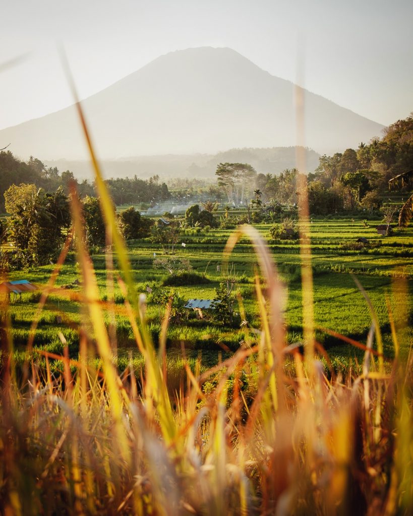 Bali volcano Agung rice fields photography